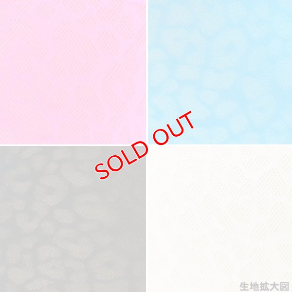 画像17: 【コックコン】アニマル柄レース生地 ローライズボクサーパンツ