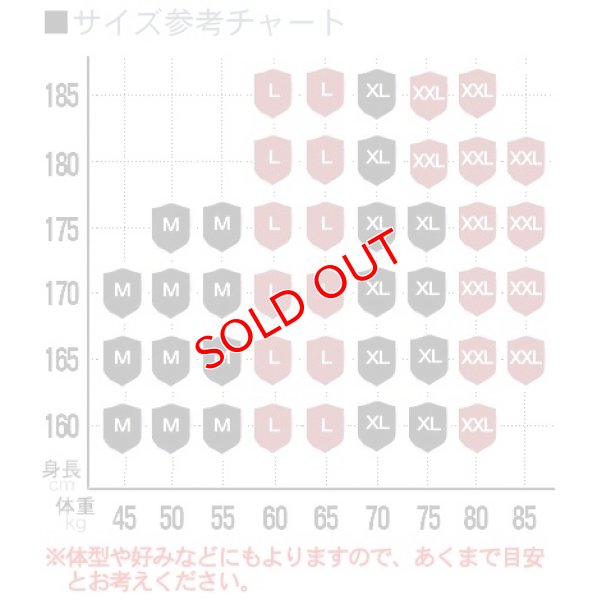 画像18: 【コックコン】アニマル柄レース生地 ローライズボクサーパンツ