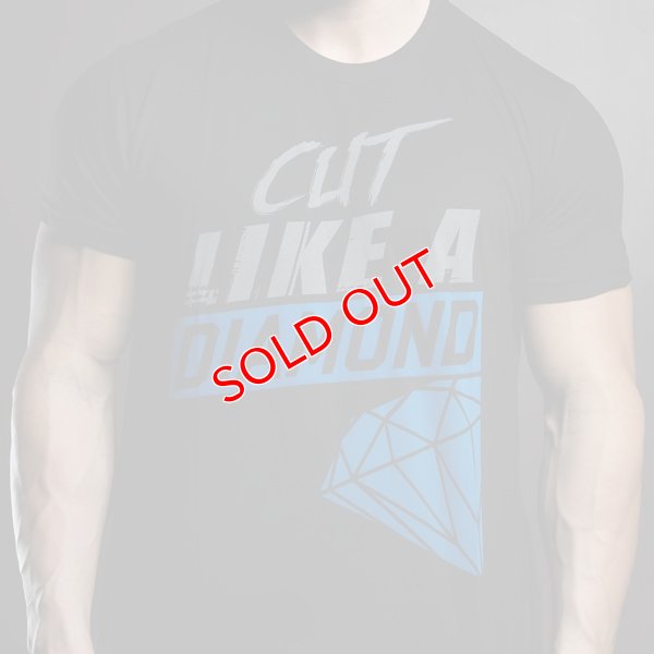 画像4: 【セイドウェア】ジムウェア Tシャツ Cut Like a Diamond