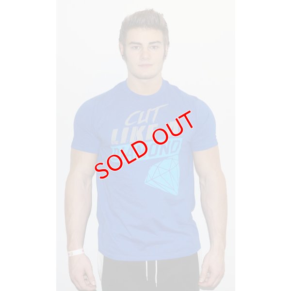 画像6: 【セイドウェア】ジムウェア Tシャツ Cut Like a Diamond