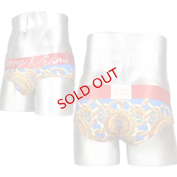 画像6: Danny Miami【ダニーマイアミ】 Lord Sky ローライズ ビキニブリーフ