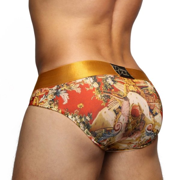 画像3: Danny Miami【ダニーマイアミ】 CHATEAU ローライズ ビキニブリーフ(dm-36chateau)