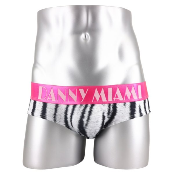 画像4: Danny Miami【ダニーマイアミ】 BENGAL ローライズ ビキニブリーフ