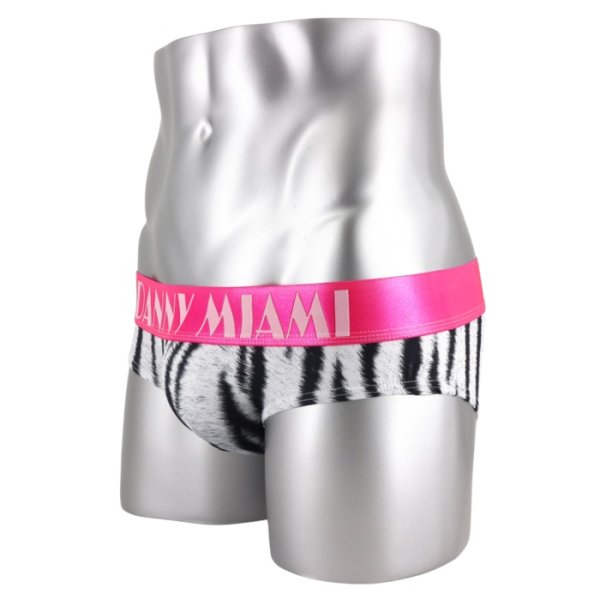 画像5: Danny Miami【ダニーマイアミ】 BENGAL ローライズ ビキニブリーフ