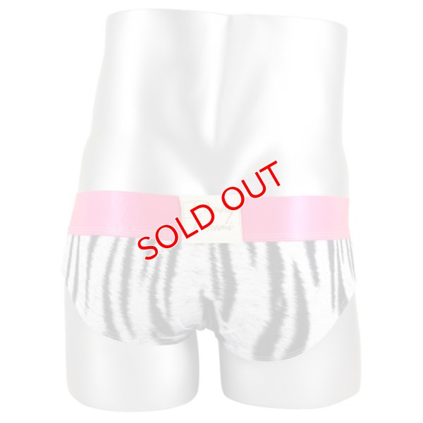 画像6: Danny Miami【ダニーマイアミ】 BENGAL ローライズ ビキニブリーフ