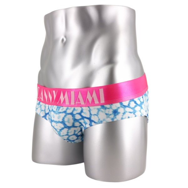 画像5: Danny Miami【ダニーマイアミ】 DREAM ローライズ ビキニブリーフ