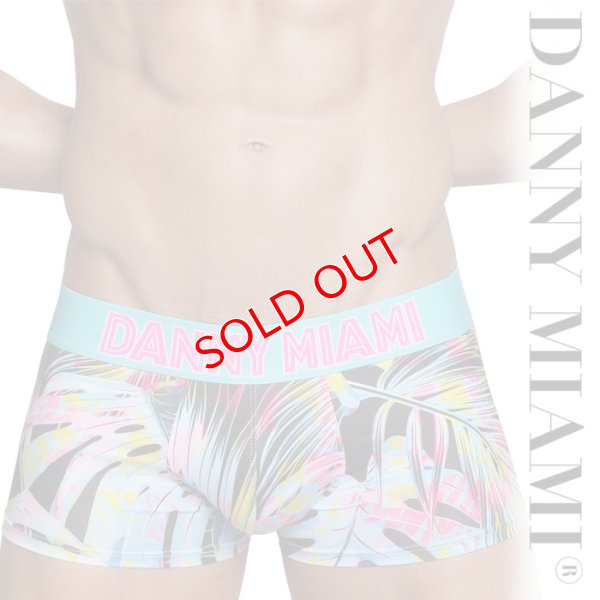 画像1: Danny Miami【ダニーマイアミ】 TWIST ローライズ ボクサーパンツ