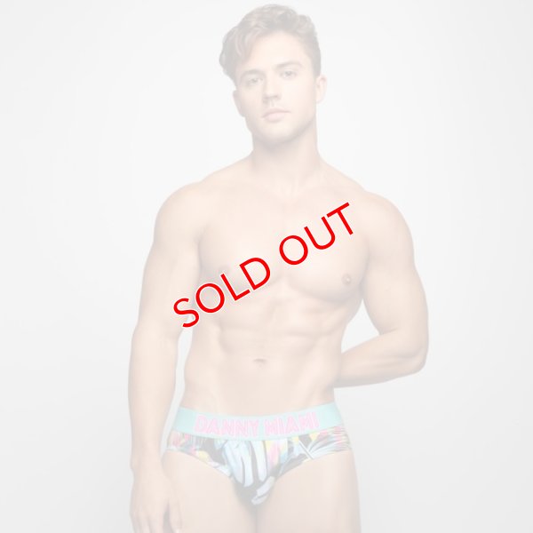 画像4: Danny Miami【ダニーマイアミ】 TWIST ローライズ ビキニブリーフ