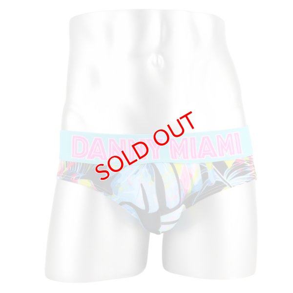 画像6: Danny Miami【ダニーマイアミ】 TWIST ローライズ ビキニブリーフ