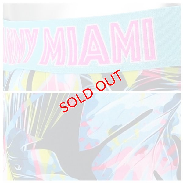 画像8: Danny Miami【ダニーマイアミ】 TWIST ローライズ ビキニブリーフ