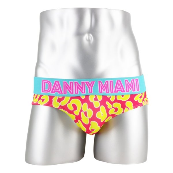 画像5: Danny Miami【ダニーマイアミ】 NATHAN'S ローライズ ビキニブリーフ