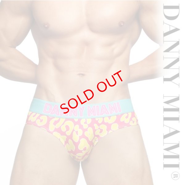 画像1: Danny Miami【ダニーマイアミ】 NATHAN'S ローライズ ビキニブリーフ