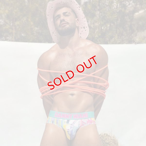 画像2: Danny Miami【ダニーマイアミ】 BENGAL ローライズ ビキニブリーフ