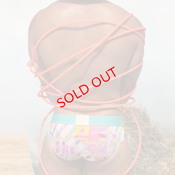 画像3: Danny Miami【ダニーマイアミ】 BENGAL ローライズ ビキニブリーフ