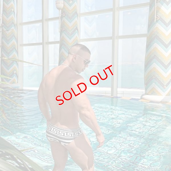 画像5: 【ダニーマイアミ】男性水着 ブーメラン Greek God Dkini