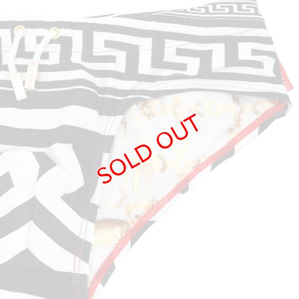 画像9: 【ダニーマイアミ】男性水着 ブーメラン Greek God Dkini