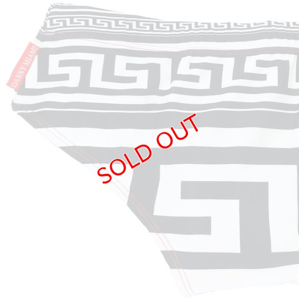 画像10: 【ダニーマイアミ】男性水着 ブーメラン Greek God Dkini