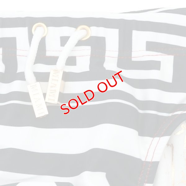 画像11: 【ダニーマイアミ】男性水着 ブーメラン Greek God Dkini