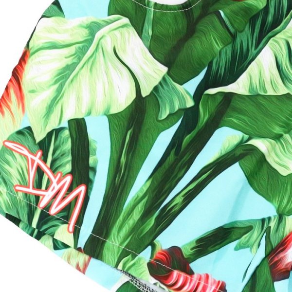 画像4: 【ダニーマイアミ】水陸両用 スイムショーツ Very MIAMI