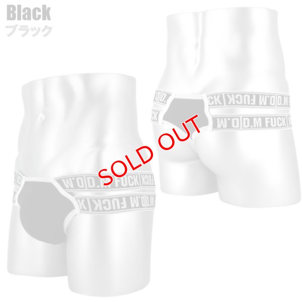 画像3: DM【ディーエム】.メンズTバック 男性用 ダブルウエストバンド ローライズ