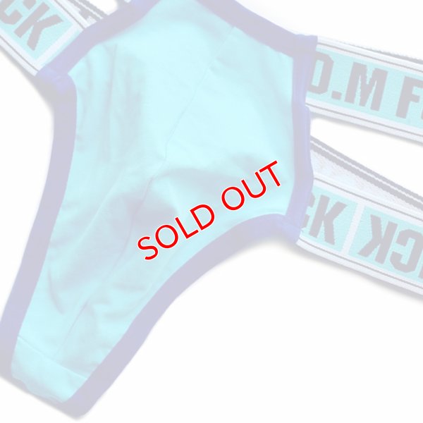 画像14: DM【ディーエム】.メンズTバック 男性用 ダブルウエストバンド ローライズ