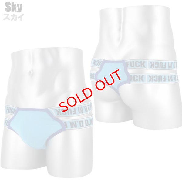 画像9: DM【ディーエム】.メンズTバック 男性用 ダブルウエストバンド ローライズ