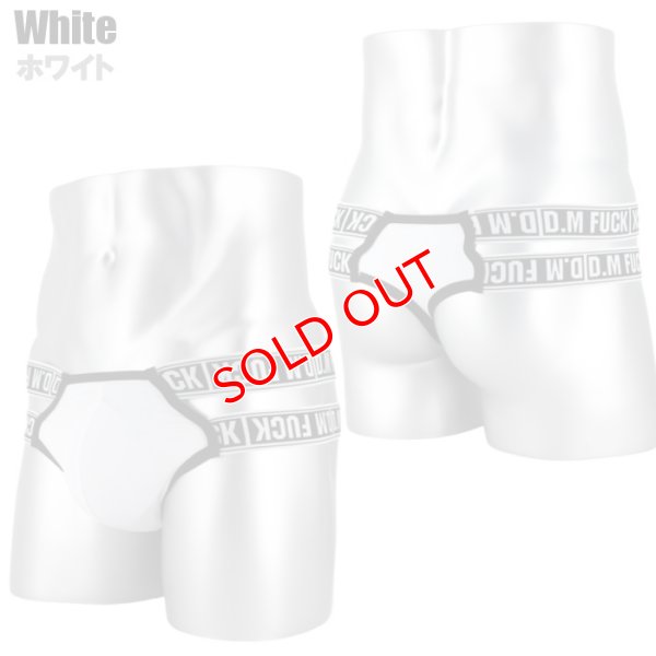 画像11: DM【ディーエム】.メンズTバック 男性用 ダブルウエストバンド ローライズ