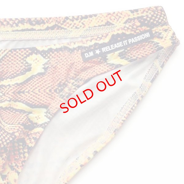 画像14: DM【ディーエム】アニマル柄 メンズビキニ ローライズ ビキニブリーフ