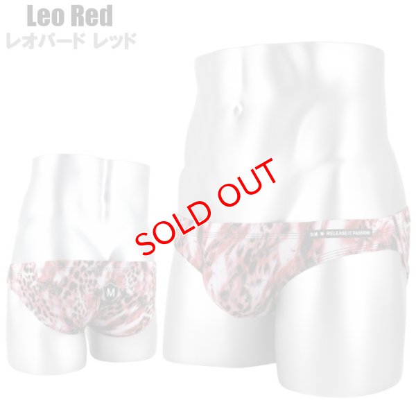 画像3: DM【ディーエム】アニマル柄 メンズビキニ ローライズ ビキニブリーフ