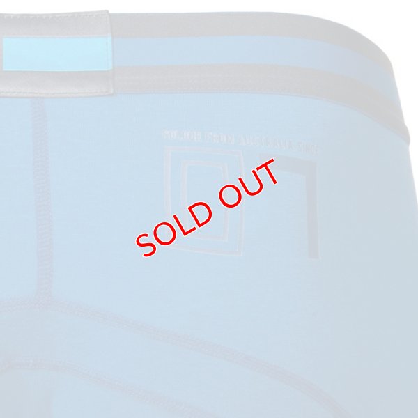 画像10: 【クルータ】ESTABLISHED ローライズボクサーパンツ