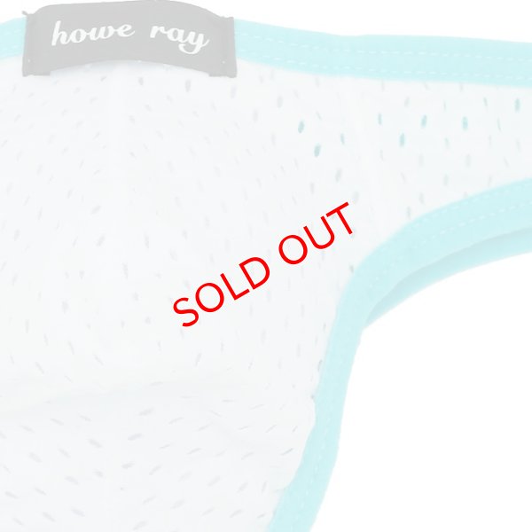 画像8: 【ハウレイ】メンズ ローライズ メッシュTバック