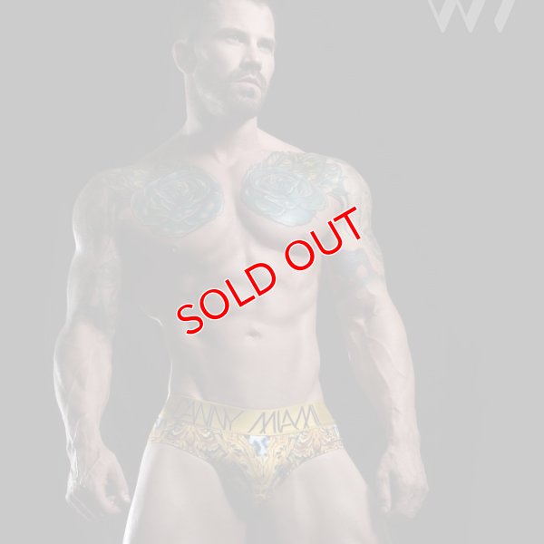 画像4: 【ダニーマイアミ】Leopard ビキニブリーフ