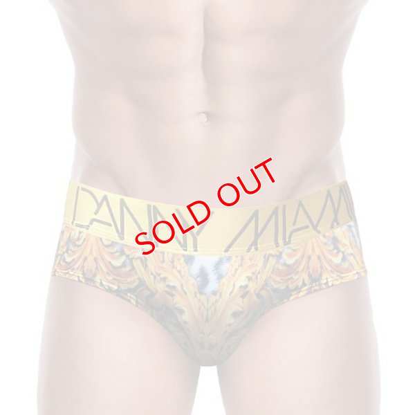 画像5: 【ダニーマイアミ】Leopard ビキニブリーフ