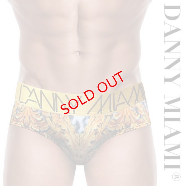 画像1: 【ダニーマイアミ】Leopard ビキニブリーフ