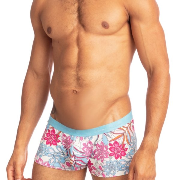 画像4: L'Homme Invisible【ロームアンヴィジーブル】 ボクサーパンツ Technicolor Dreams ボクサー