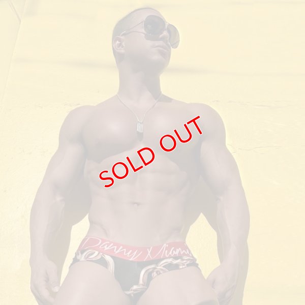 画像2: 【ダニーマイアミ】Links ビキニブリーフ