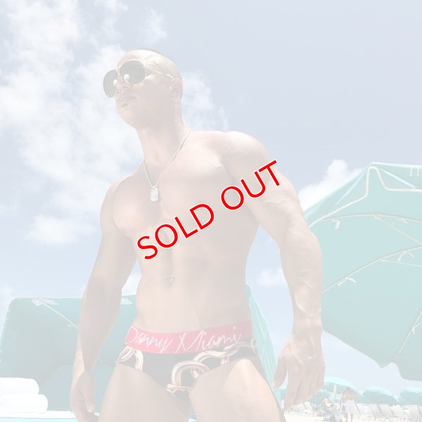 画像4: 【ダニーマイアミ】Links ビキニブリーフ