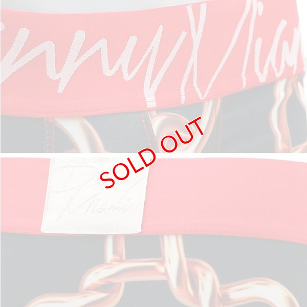 画像7: 【ダニーマイアミ】Links ビキニブリーフ