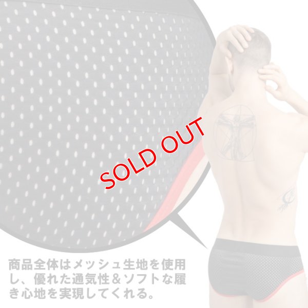 画像14: Maskulo【マスクロ】 SKULLA ローライズ メッシュ ブリーフ