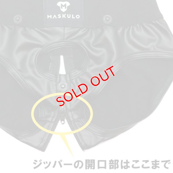 画像14: 【マスクロ】Armored Next. ジッパー付きブリーフ