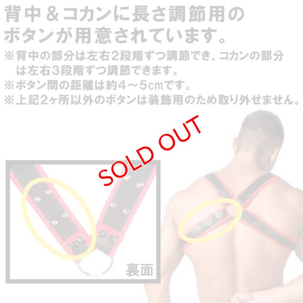 画像14: 【マスクロ】Youngero Generation Y. ハーネス