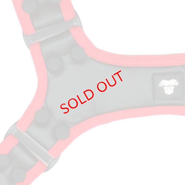 画像15: 【マスクロ】Youngero Generation Y. ハーネス