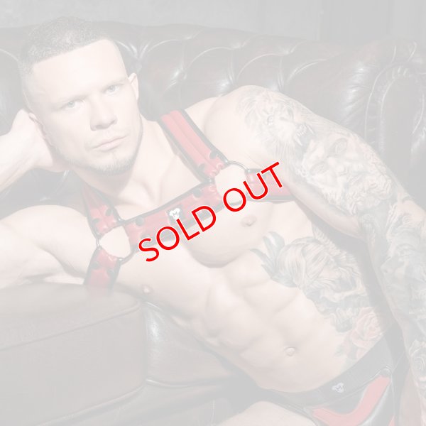 画像3: Maskulo【マスクロ】Armored Next ハーネス