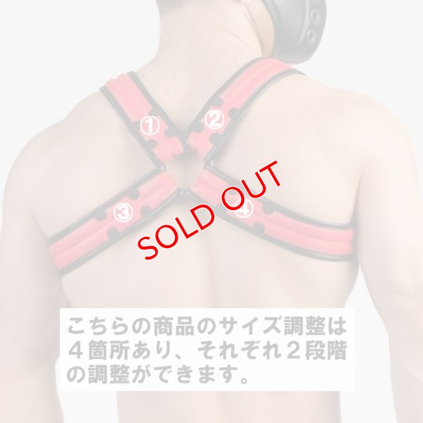 画像19: Maskulo【マスクロ】Armored Next ハーネス