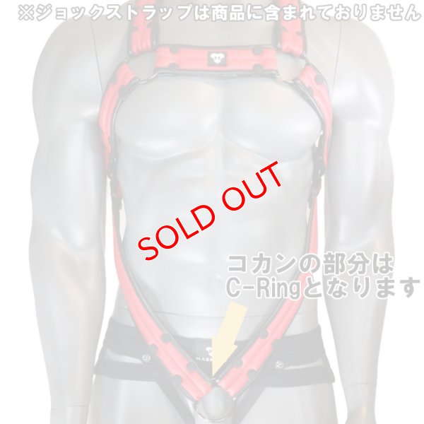 画像14: Maskulo【マスクロ】Armored Next C-Ring ハーネス