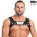 画像10: Maskulo【マスクロ】ハーネス メンズ ボンテージ パーティ Gogo 衣装 Maskulo マスクロ ARMORED ブルドッグ