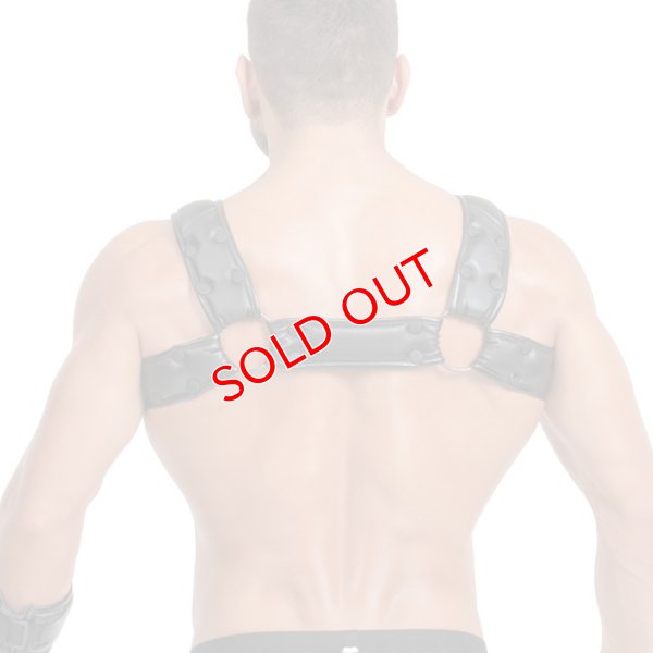 画像13: Maskulo【マスクロ】Cリングハーネス メンズ ボンテージ Gogo 衣装 Maskulo マスクロ ARMORED ブルドッグハーネス