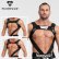 画像1: Maskulo【マスクロ】Cリングハーネス メンズ ボンテージ Gogo 衣装 Maskulo マスクロ ARMORED ブルドッグハーネス (1)