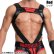 画像7: Maskulo【マスクロ】Cリングハーネス メンズ ボンテージ Gogo 衣装 Maskulo マスクロ ARMORED ブルドッグハーネス