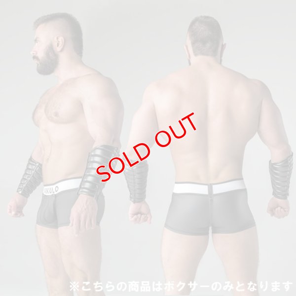画像3: Maskulo【マスクロ】メンズボクサーパンツ ジッパー仕様 Armored